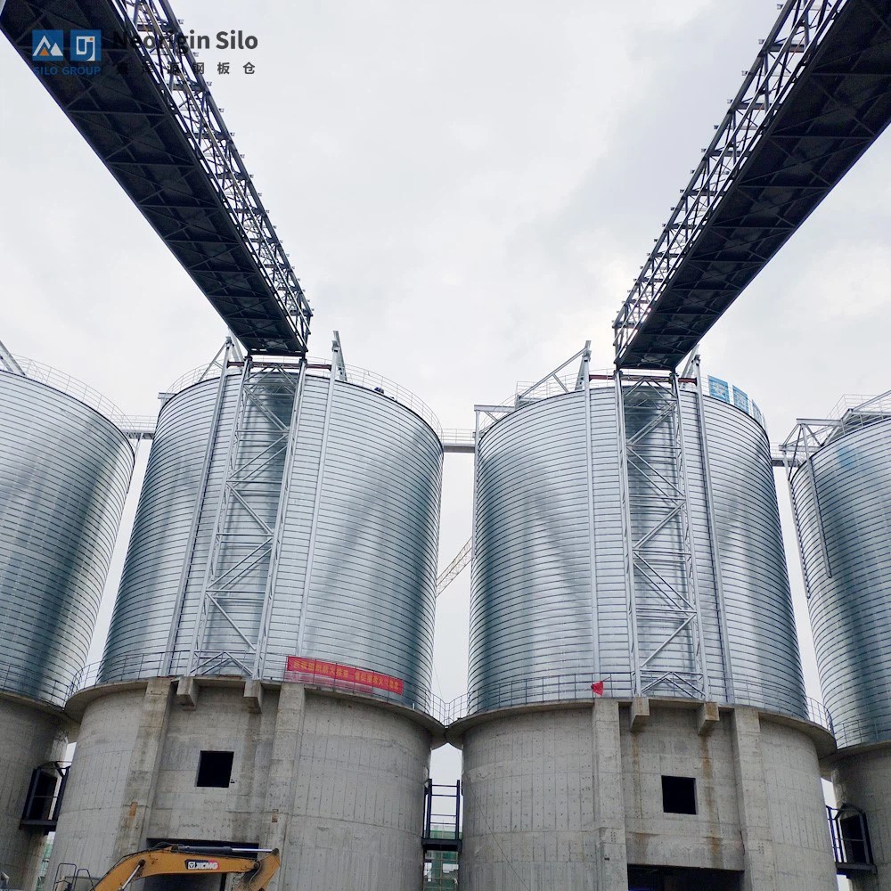 湖南轨道芝城矿业