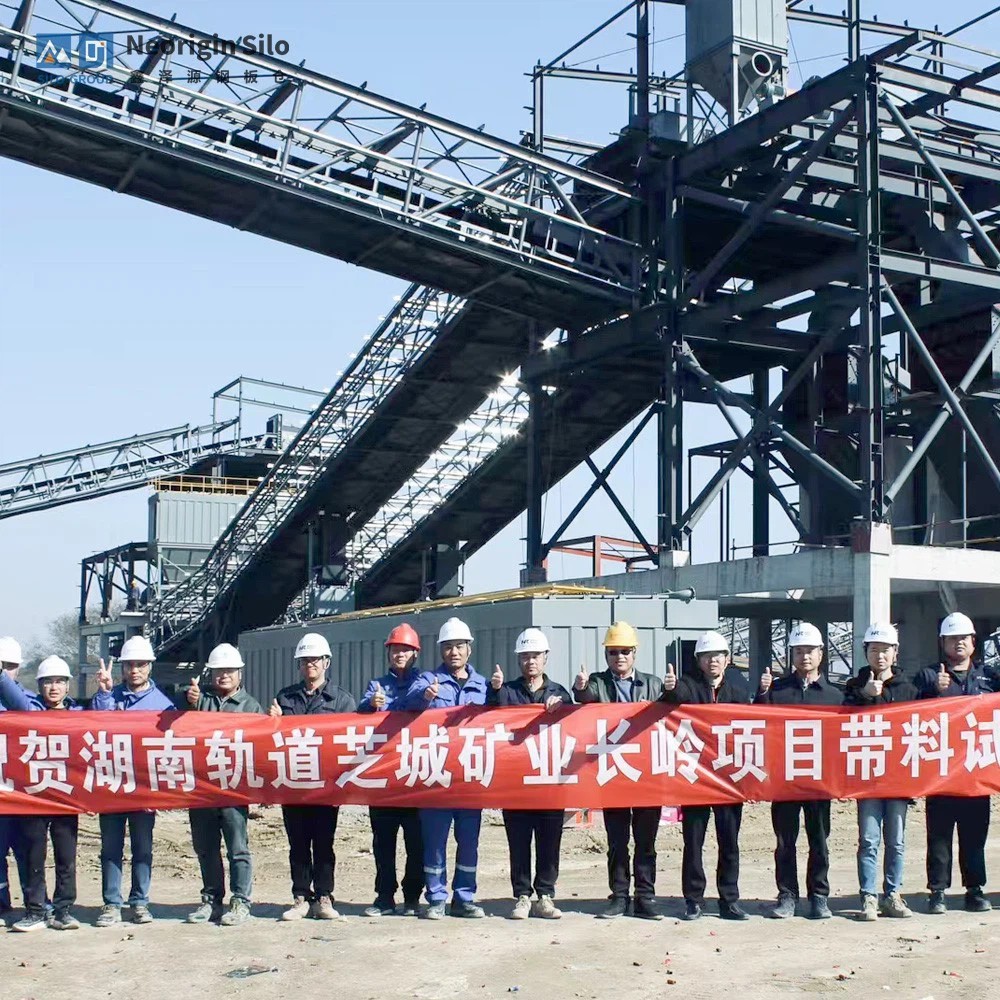 湖南轨道芝城矿业