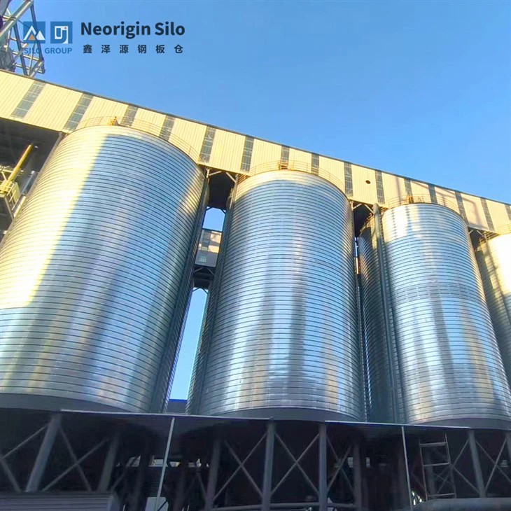 碳素石油焦筒仓系统